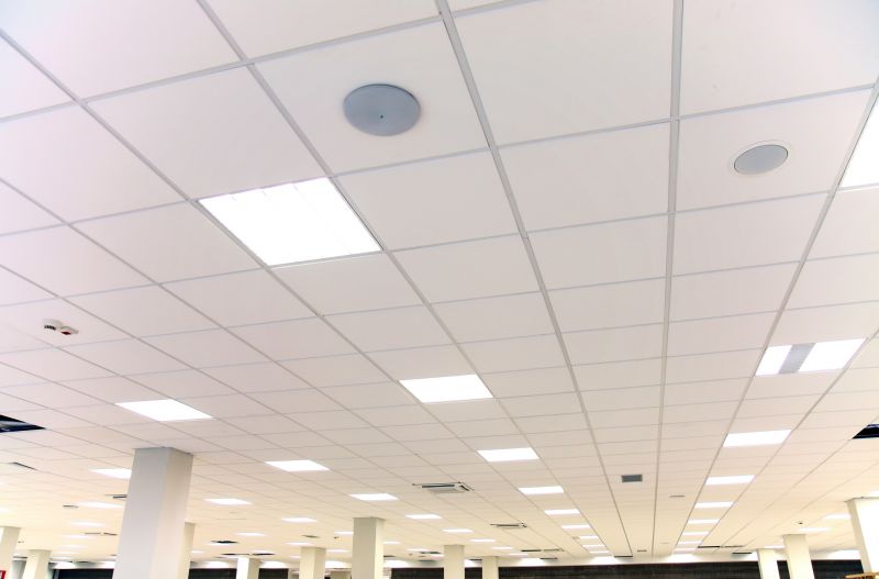 Ceiling Tiles Repair