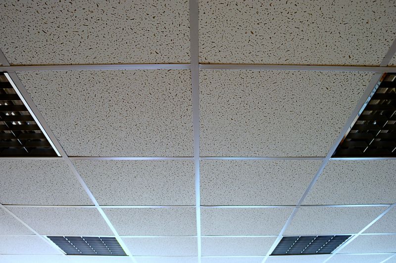 Grid Ceiling Installation in Boulder, CO