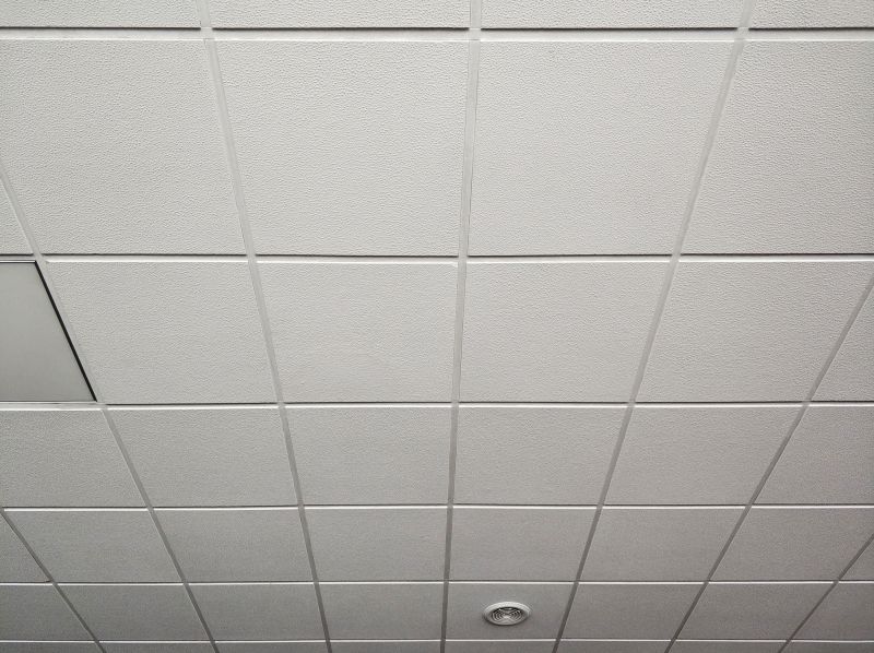 Grid Ceiling Repair