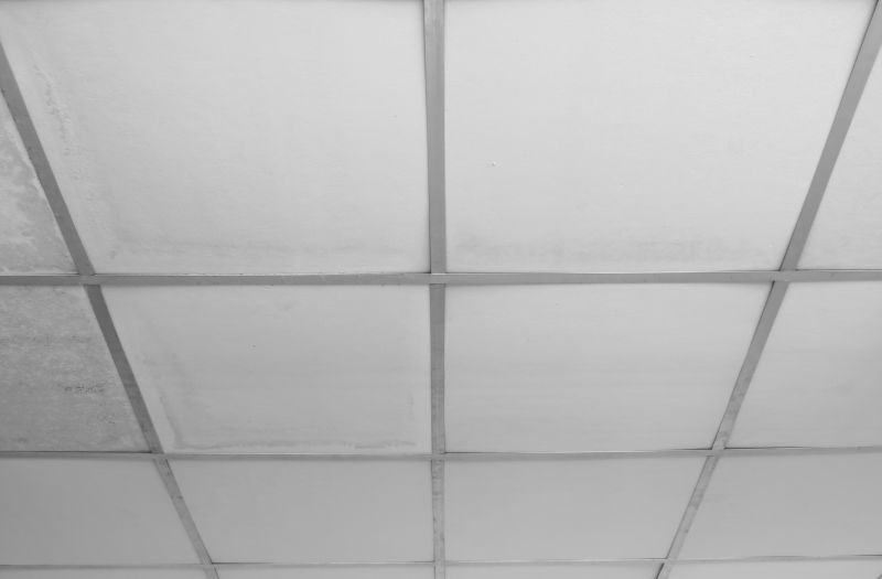 Suspended Ceiling Repair in Longmont, CO
