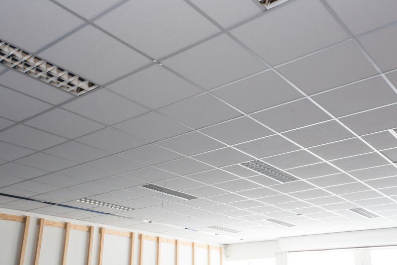 T Bar Ceiling Installation in Longmont, CO